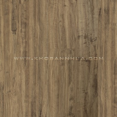 Sàn nhựa Galaxy Vân Gỗ 9005