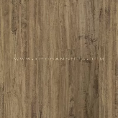 Sàn nhựa Galaxy Vân Gỗ 9005