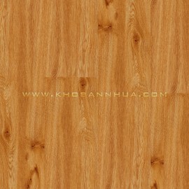 Sàn nhựa vân gỗ Railflex DW01