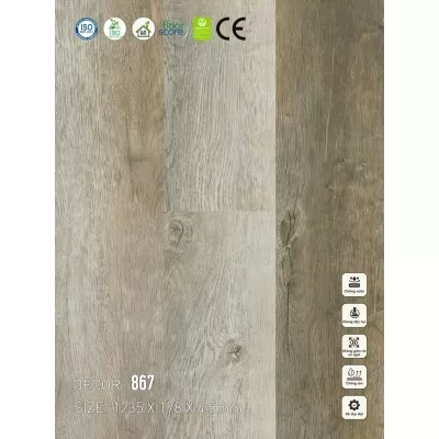 Sàn nhựa VinapoLy 4.5mm 867