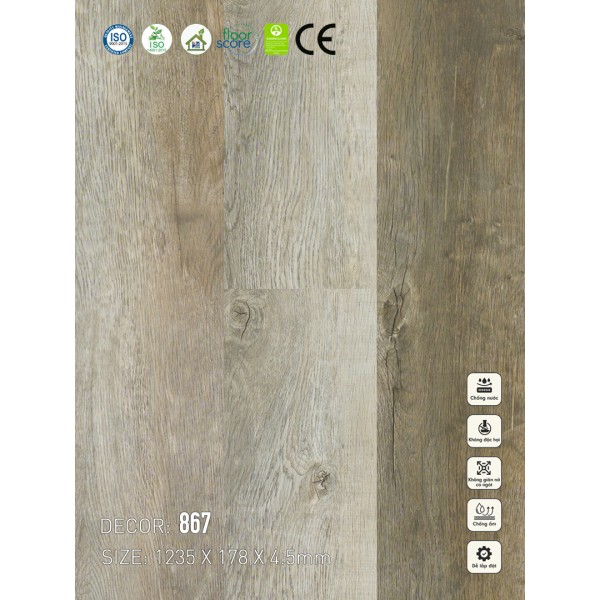 Sàn nhựa VinapoLy 4.5mm 867