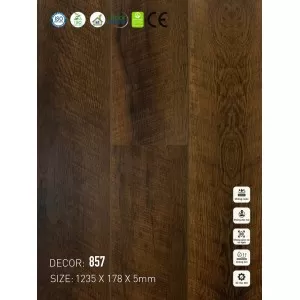  Sàn nhựa VinapoLy 5mm V857