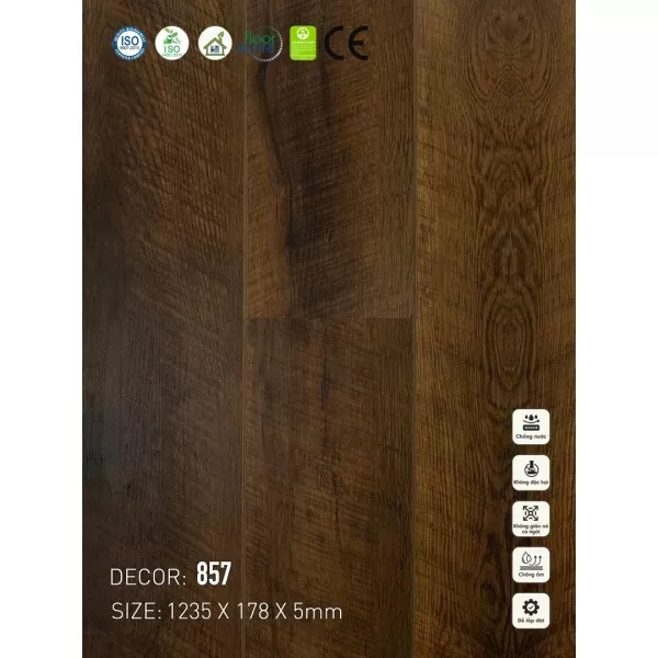  Sàn nhựa VinapoLy 5mm V857