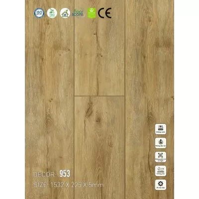 Sàn nhựa VinapoLy 5mm V953