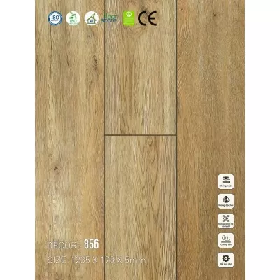 Sàn nhựa VinapoLy 5mm V856