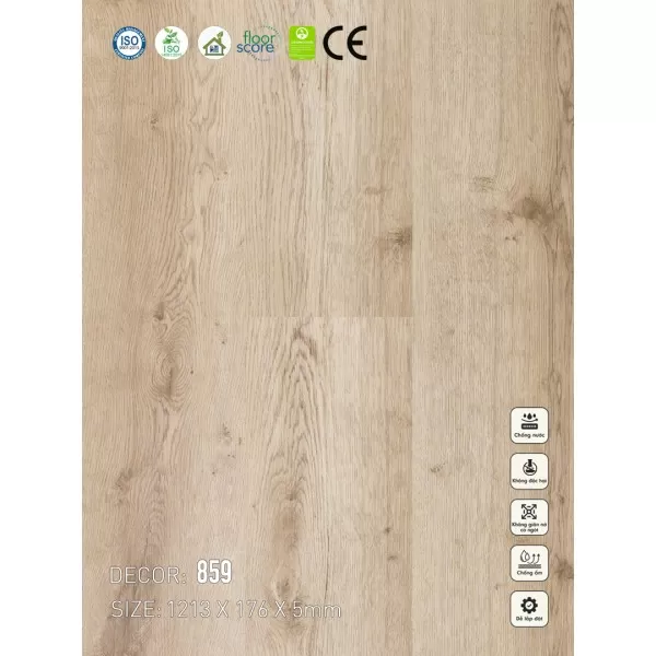 Sàn nhựa VinapoLy 5mm V859