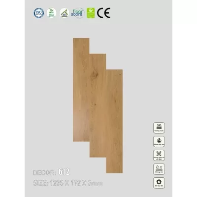 Sàn nhựa VinapoLy 5mm V612