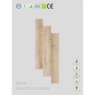 Sàn nhựa VinapoLy 5mm V859