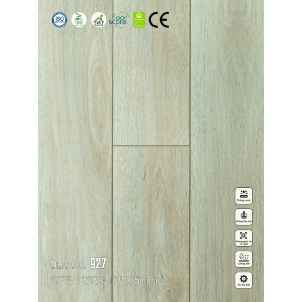 Sàn nhựa VinapoLy 5mm V927