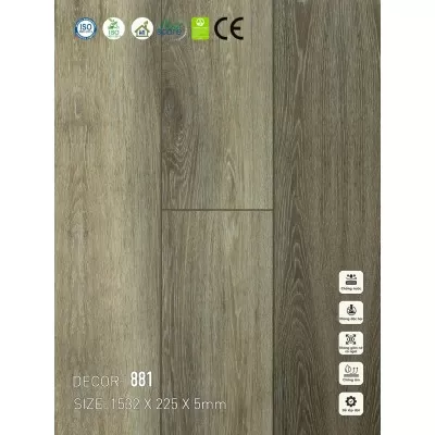 Sàn nhựa VinapoLy 5mm V881