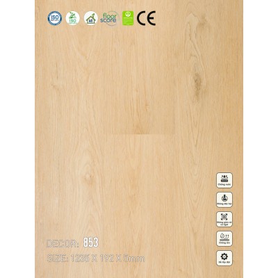 Sàn nhựa VinapoLy 5mm V853