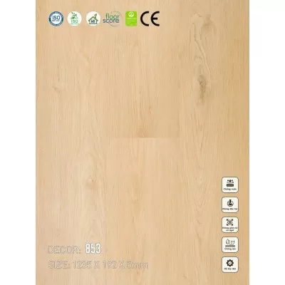 Sàn nhựa VinapoLy 5mm V853