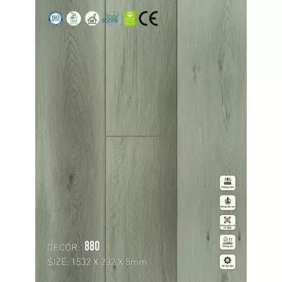 Sàn nhựa VinapoLy 5mm V880