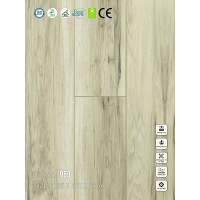 Sàn nhựa VinapoLy 5mm V963